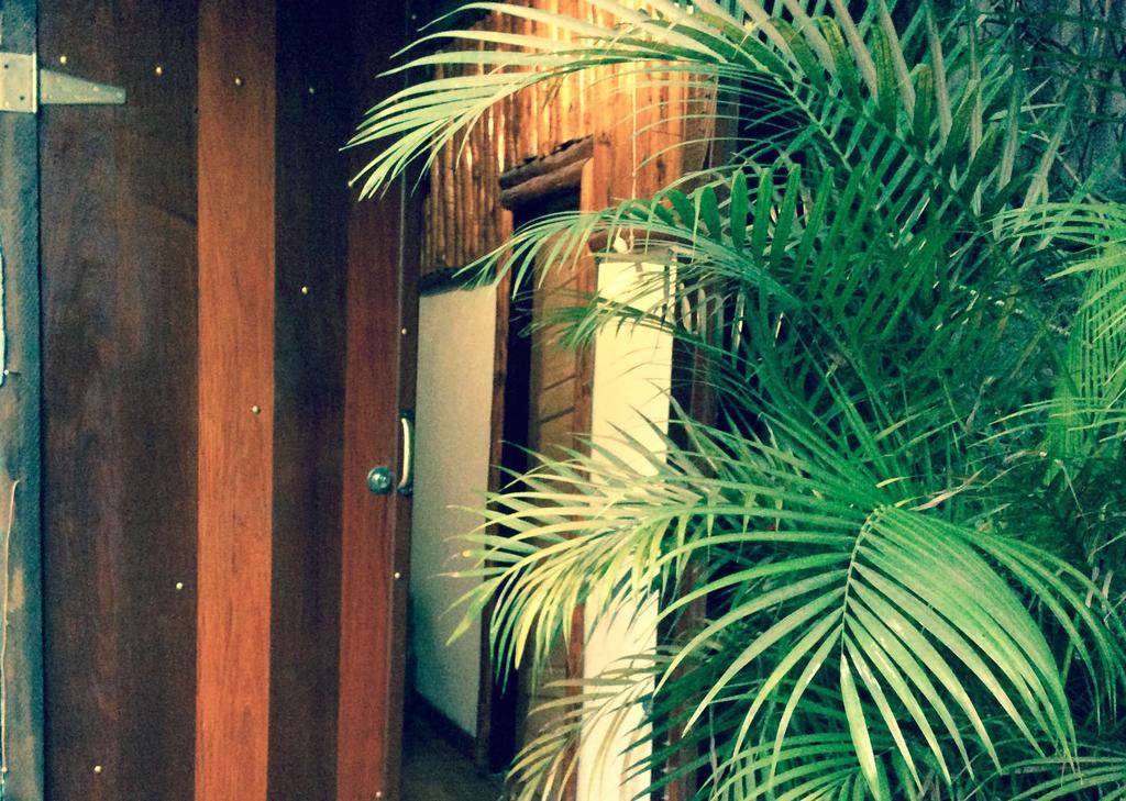 Canto Do Buganville إلها غراندي المظهر الخارجي الصورة